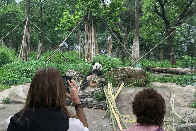 Chengdu Muslim Day Trip: Panda Breeding Base, Mosque, Wuhou Temple & Jinli - Itinerary Highlights
