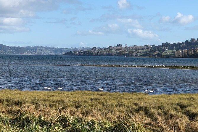 Chiloé for the Day: Ancud and Puñihuil, PRIVATE - Inclusions: Gratuities, GST, and More
