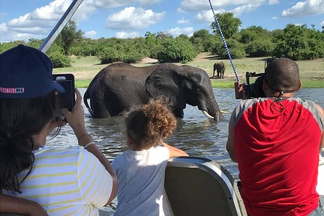 Chobe Day Trip From Livingstone - Trip Overview
