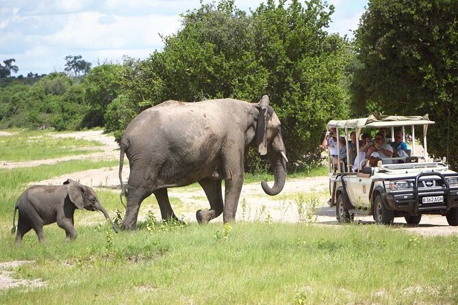 Chobe Day Trip From Livingstone