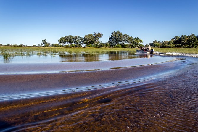 Chobe Day Trip From Victoria Falls, Zimbabwe - Trip Overview
