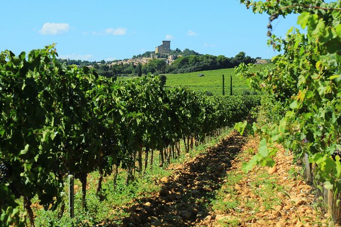 Chocolate and Wine Pairing Experience in Châteauneuf-du-Pape - Meeting and End Points