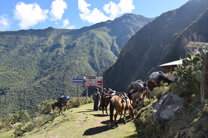 Choquequirao to Machu Picchu