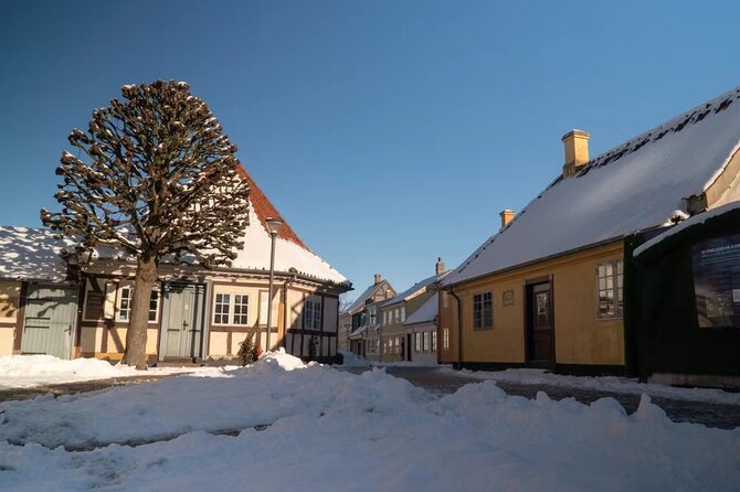 Christmas Charms in Odense – Walking Tour - Tour Overview