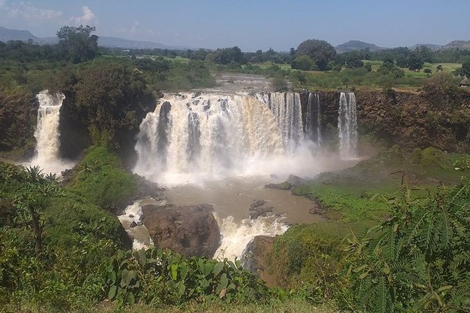2 Best City Tours In Bahir Dar