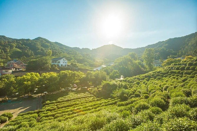 Classic Hangzhou Day Tour Plus Tea Plantation Exploration