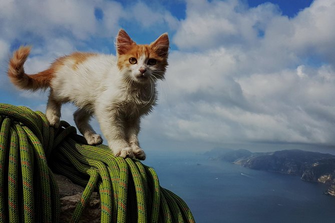 Climbing on the Path of the Gods