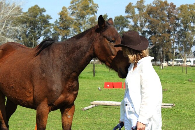 Coaching With Horses in Buenos Aires, Argentina - Coordinates and Start Time