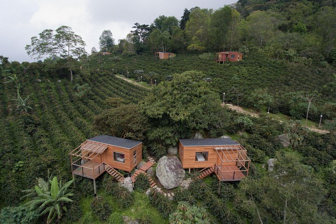 Coffee Experience-La Palma & El Tucán - Meeting and Pickup Information