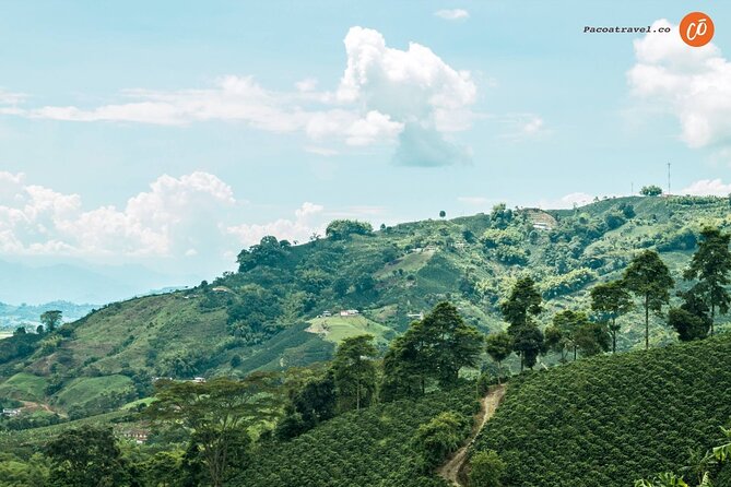 Coffee Heritage, a Multisensory Experience - Overview of the Experience