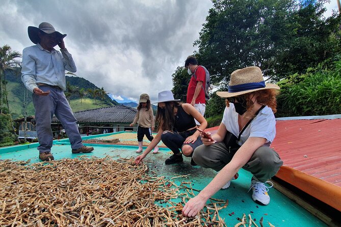 Coffee Lovers Express Coffee Tour - Tour Overview
