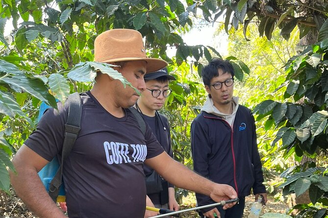 Coffee Tour Near the Agua Volcano With Tasting - Tour Overview