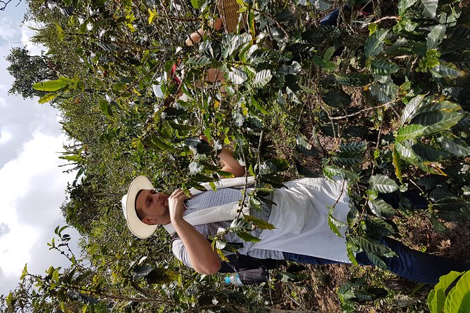 Coffee Tour Private - Location