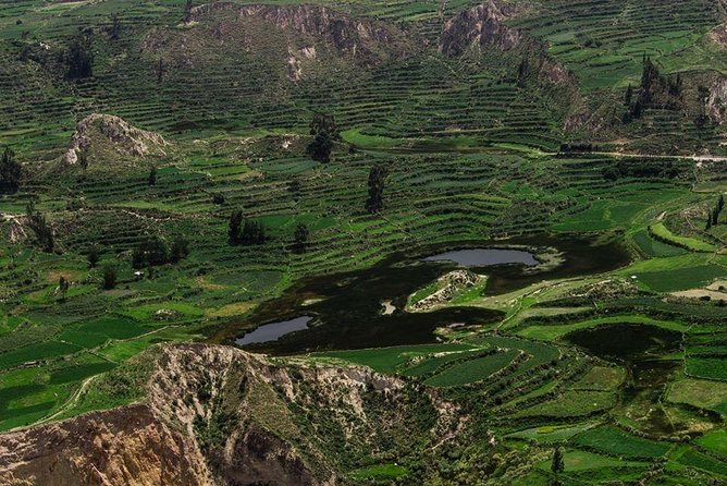 Colca 2 Days 1 Conventional Night - Overview of the Tour