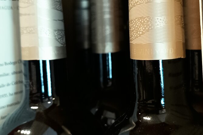 Colchagua Premium Wine Tour From Santiago