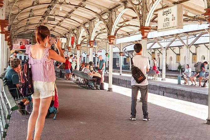 Colombo to Badulla Train Ride on (Train No: 1015 Udarata Menike) - Scenic Route Overview