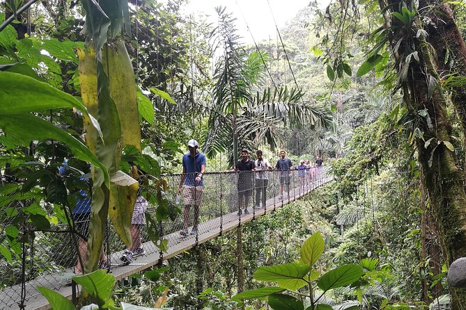 Combination Tour With Hanging Bridges, Waterfall ,Volcano Hike and Hot Springs - Overview of the Combination Tour
