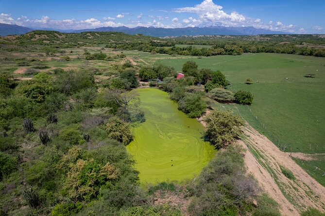 Community and Biodiversity Tour of the Tatacoa Desert From Neiva