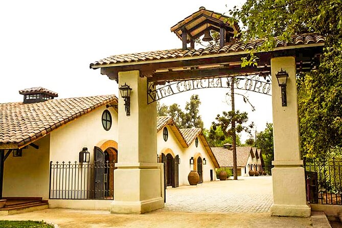 Concha Y Toro Vineyard