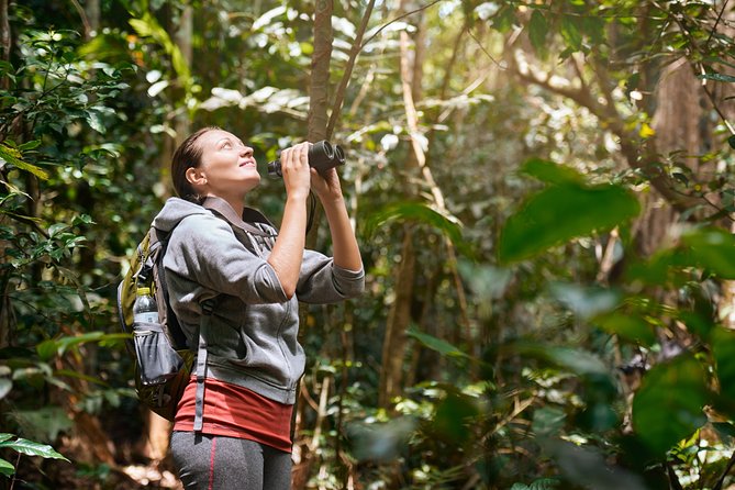 Corcovado & Arenal Volcano Expedition 8D/7N Vacation Package
