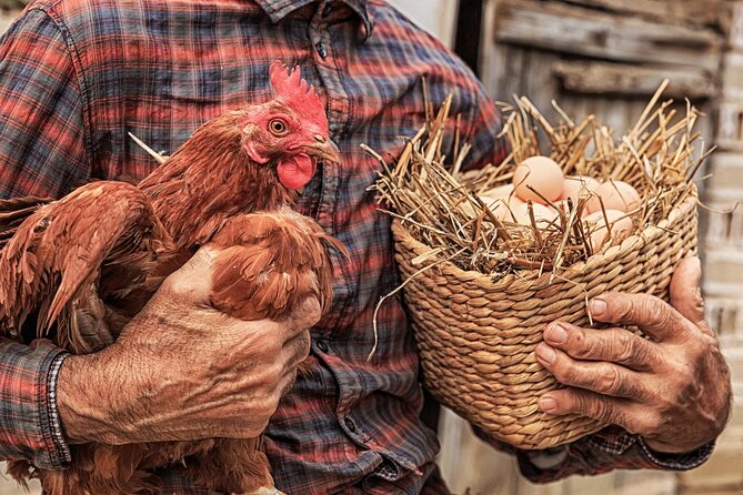 Corfu Farm Private Tour in Greece With Lunch - Inclusions and Exclusivity