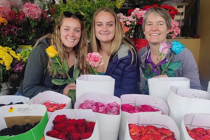 Cotopaxi Volcano & Rose Farm Tour VIP