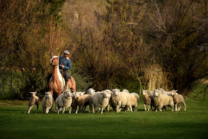 Country Afternoon With Dinner Show - Estancia 25 De Mayo - Pickup and Transportation