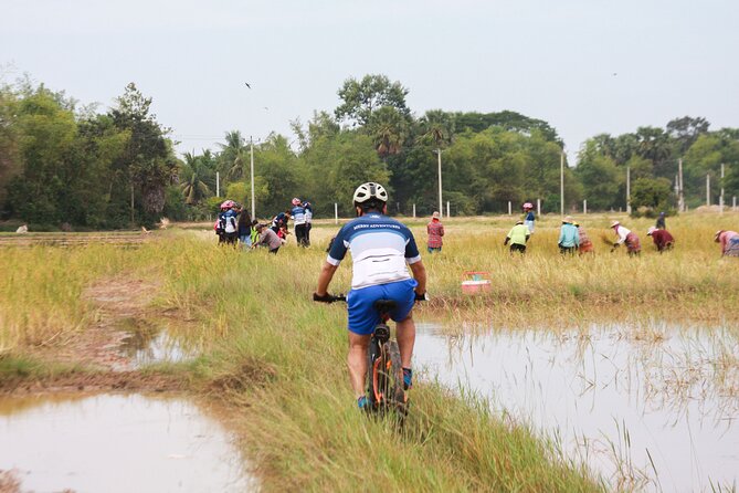 Country Cycling Experience and Homemade Lunch in Siem Reap - Tour Overview