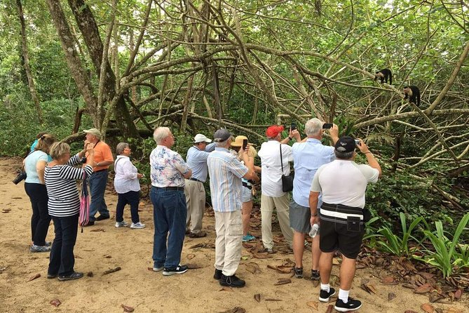 Crocodile Safari Expedition & Carara National Park. Private Tour - Tour Highlights