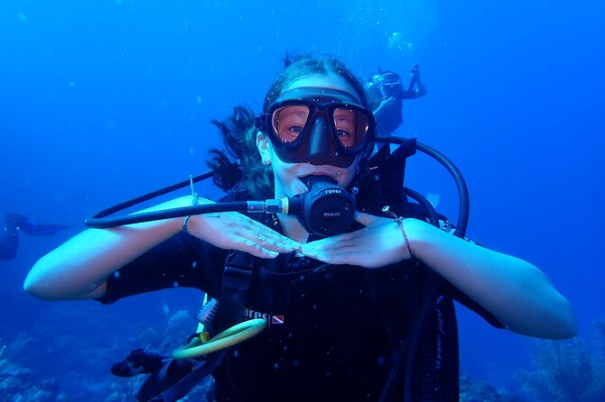 Cruise Guest 2-Dive Excursion With Private Transport - Excursion Details