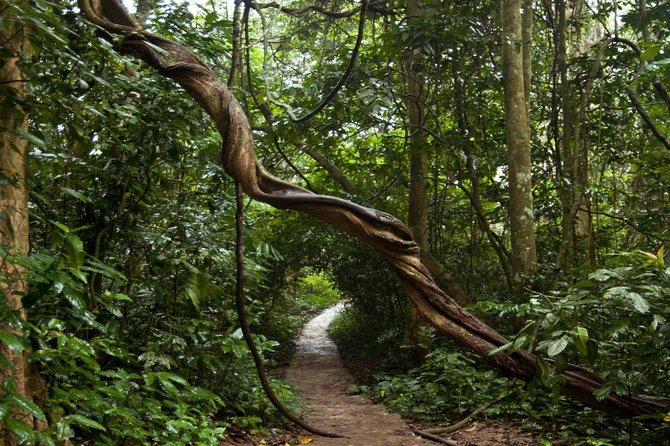 Cuc Phuong National Park - Inclusions