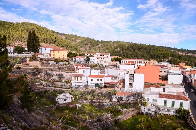 Custom Private Tenerife Highlights Car Tour