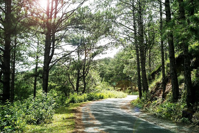 Dalat - Mui Ne Full Day Cycling Tour - Meeting and Pickup Details