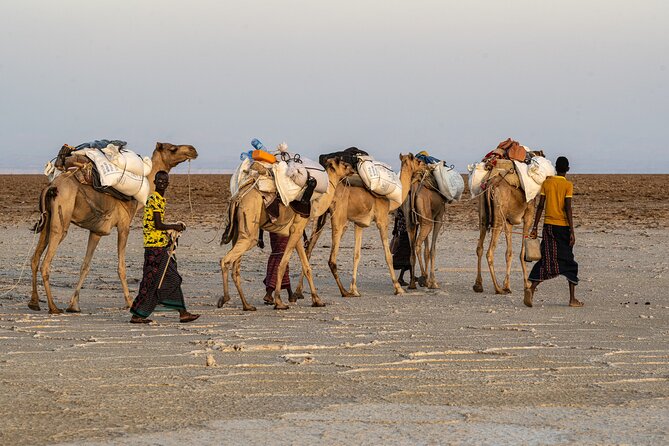 Danakil Depression 3 Days Trip