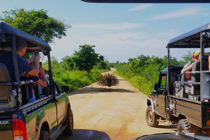 Day Excursions to Udawalawe From Bentota - Inclusions and Logistics