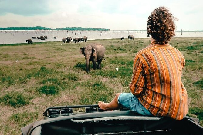Day Excursions To Yala National Park Jeep Safari Form Galle