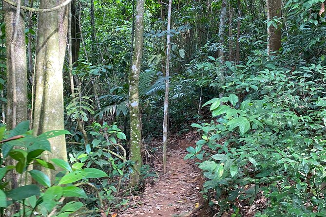Day Pass to Hacienda Ébano