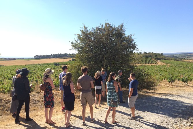 Day Tour : Cité De Carcassonne and Wine Tasting. Private Tour From Carcassonne.