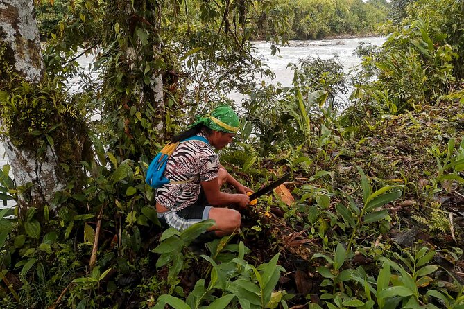 Day Tour in the Puyopungo Amazon Rainforest