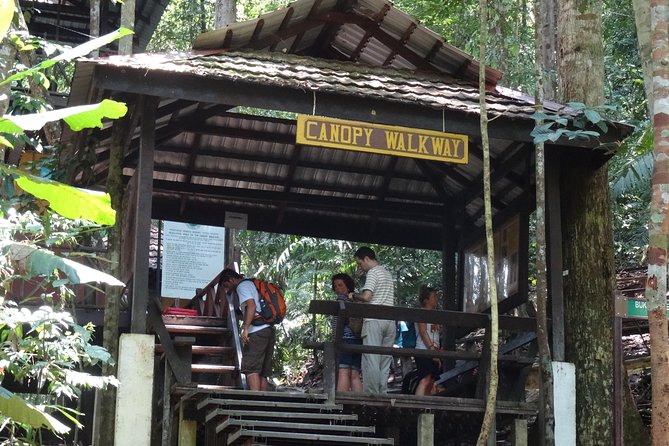 Day Tour Taman Negara With Waterfalls, Night Safari+ Night Walk - Itinerary Details