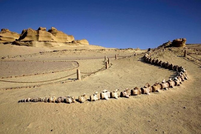 Day Tour to Al Fayoum From Cairo