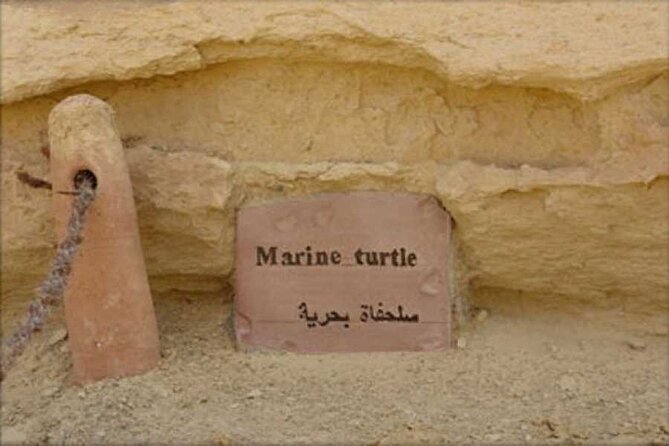 Day Tour to Fayoum From Cairo - Tour Inclusions