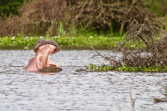 Day Tour to Hells Gate and Optional Boat Ride at Lake Naivasha - What To Expect