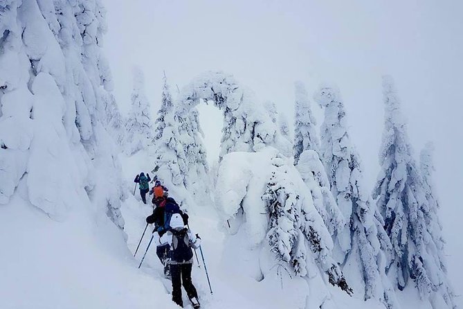 Day Trekking In Ciucas Massif - Pickup Information