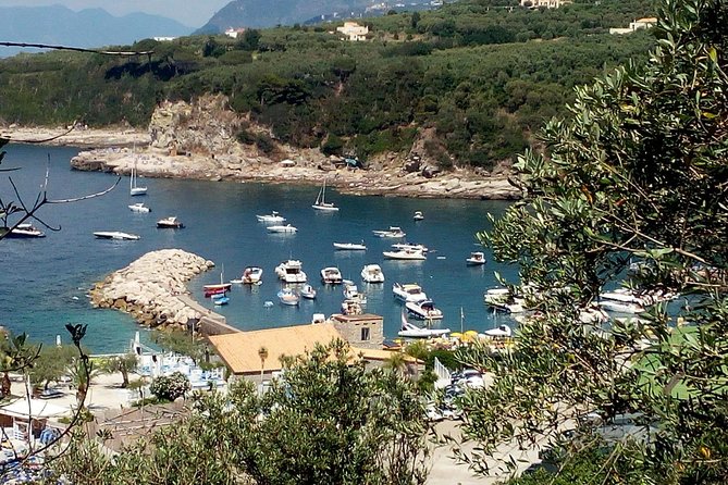 Day Trip From Rome To Positano And Amalfi Coast - Scenic Drive Along the Coast