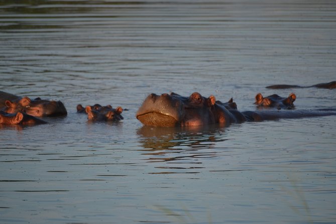 Day Trip Morogoro – Mikumi National Park