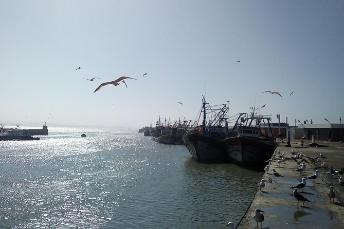 Day Trip to Essaouira - Inclusions