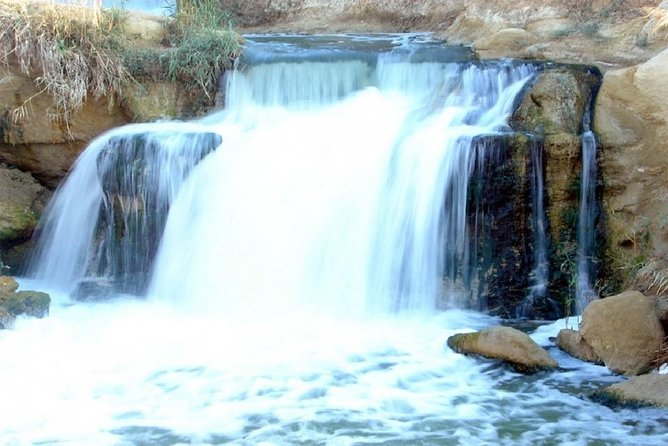 Day Trip to Fayoum - Itinerary Highlights