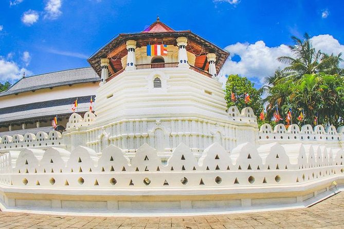 Day Trip to Kandy With Kingfisher Tours - Inclusions