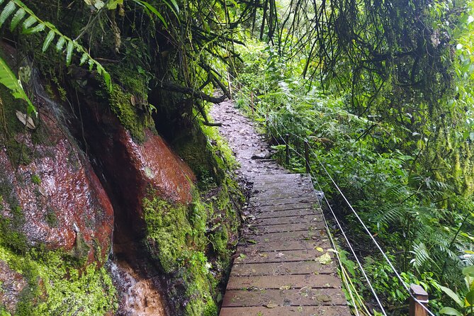 Day Trip to La Chorrera Park—Hiking Experience to Highest Waterfall in Colombia - Trip Details